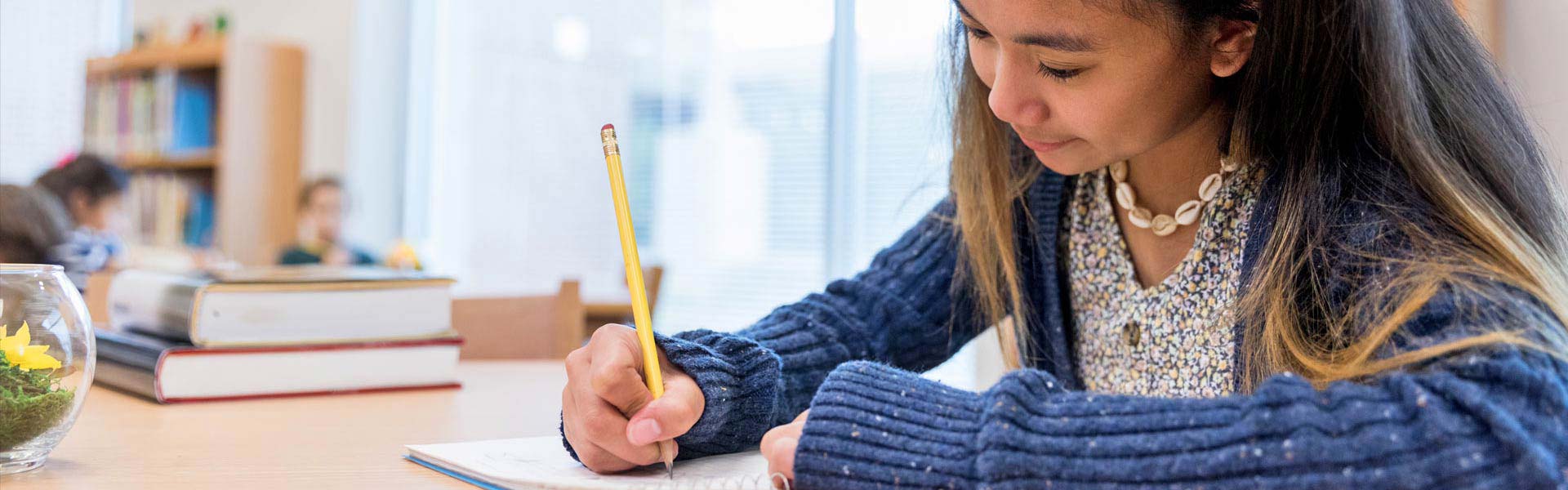 education-banner-web education-banner-web
